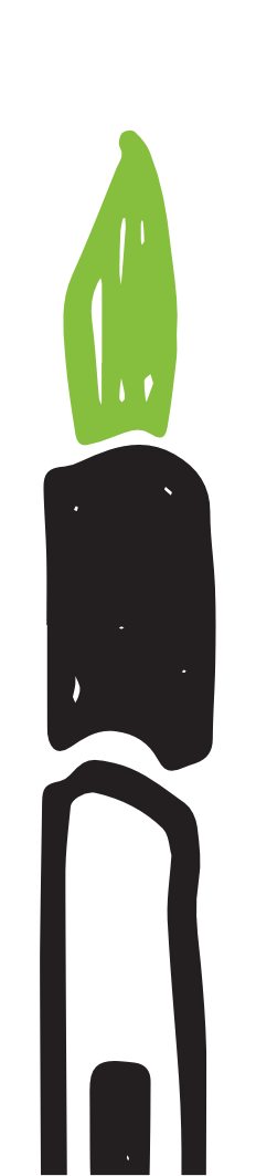 pipaani